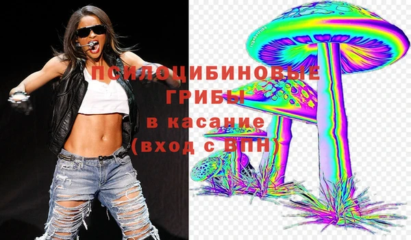 бутират Чердынь