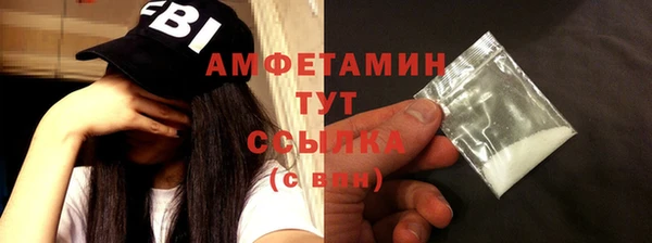 мдпв Шали