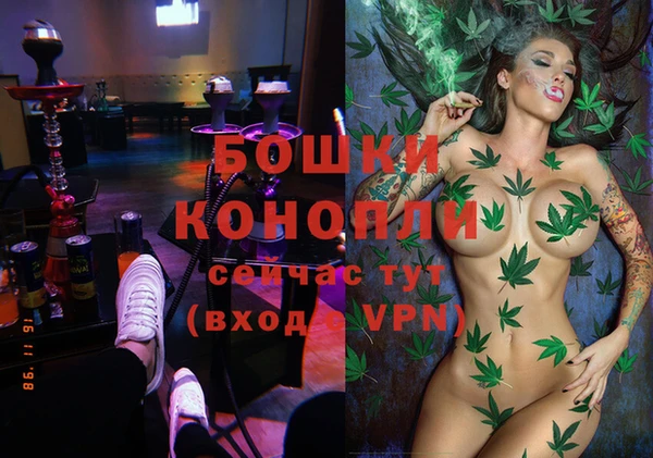 мдпв Шали