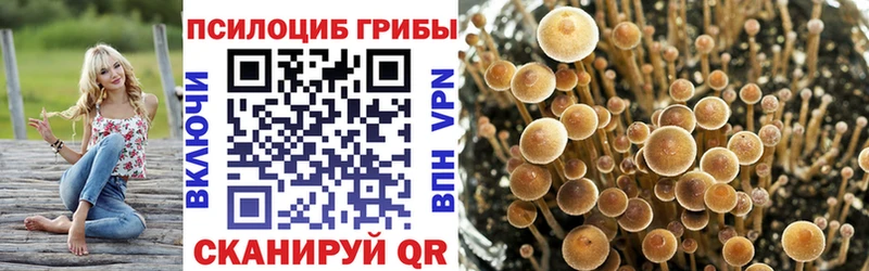 наркошоп  Ессентуки  Галлюциногенные грибы Cubensis 