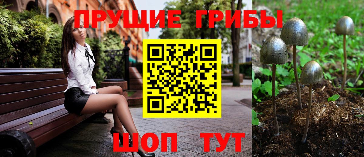 Псилоцибиновые грибы Magic Shrooms Ессентуки