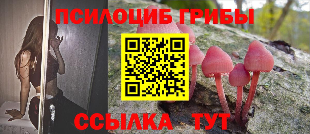 Ессентуки  Галлюциногенные грибы Psilocybine cubensis  Вход с VPN 